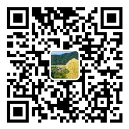k8彩乐园